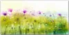 Coloray Küchenrückwand 140x70 Spritzschutz aus Glas - Produktbild-Vorschau 1
