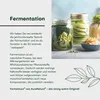 Fermentura Ginkgo Duo Plus - Ginkgo Biloba Kapseln mit Produktbild-Vorschau 10