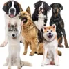 Purlov 25536 Kühlmatte für Hunde oder Katzen, 110 x 70 cm, Produktbild-Vorschau 9