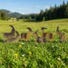 Ručně malované betlémové figurky stádo koz 6 ks, cca 5 cm, Náhled obrázku produktu 1