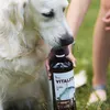Akinu VITALITY Lososový olej doplněk stravy pro psy a kočky Náhled obrázku produktu 3