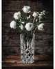 Nachtmann Noblesse Vase, Vase mit runder Form, Glas, Produktbild-Vorschau 17