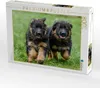 CALVENDO Puzzle Welpen 8 Wochen | 1000 Teile Lege-Größe Produktbild-Vorschau 2