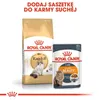 ROYAL CANIN Ragdoll FBN Adult - trockenfutter für Katzen - Produktbild-Vorschau 6