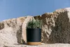 Prosperplast s.r.o. Vaso da fiori TUBO PM 10,8 cm, Anteprima dell’immagine prodotto 10
