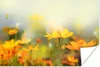 MuchoWow® Poster Blumen - Landschaft - Gelb 120x80 cm - Produktbild-Vorschau 1
