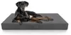Knuffelwuff orthopädische Inkontinenz-Hundematte 95-Grad Produktbild-Vorschau 1