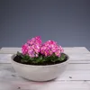 Jardinières pour l'extérieur Jardinières décoratives rondes Voir les images du produit 7