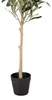 Clayre & Eef Olivier artificiel 70 cm Vert Plastique Voir les images du produit 4