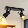 ZMH reflektor sufitowy 2 płomienie czarny reflektor Podgląd zdjęcia produktu 1