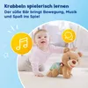 Vtech 80-181104 Krabbel mit mir - Bär Produktbild-Vorschau 14