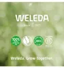 Weleda Straff. Aceite facial de granada. Vista previa de la imagen del producto 19