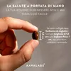 Aavalabs Beta-Carotin 15 mg | Lyc-O-Beta® | Haut & Sehkraft Produktbild-Vorschau 4