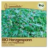 Samenliebe  Herzgespann Samen | Wildblume - winterhart & Produktbild-Vorschau 1
