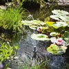 A solar-powered fountain with LED light ring in a pond with water lilies and grass. Produktbild-Vorschau