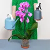 Keramzyt 8-16mm - 5l - Natürlicher Drenaž - Ökologisch - Produktbild-Vorschau 17