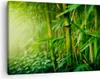 Bild auf Leinwand - Leinwandbild - Bambus Pflanze - 70x50cm Produktbild-Vorschau 1