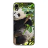 MuchoWow® Handyhülle Schutzhülle Hülle für iPhone XR Panda Produktbild-Vorschau 1