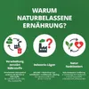 Die Krankheitslügen - Was man macht, um nicht krank zu Produktbild-Vorschau 4