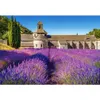 Puzzle 1000 pezzi Campo di Lavanda in Provenza, Francia Anteprima dell’immagine prodotto 2