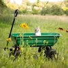A kitten sits in a green garden wagon in a grassy field with flowers. Podgląd zdjęcia produktu