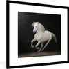 MuchoWow® Gerahmtes Poster Pferde - Schwarz - Porträt 40x40 Produktbild-Vorschau 1