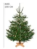 Krinner Christbaumständer 'Vario Tölz', bis 250cm und 12cm Produktbild-Vorschau 6