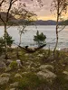AMAZONAS Hammock Silk Traveller Thermo Náhled obrázku produktu 14
