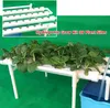 A hydroponic grow kit with 36 plant sites, showing seedlings growing in white pipes over a blue reservoir. Podgląd zdjęcia produktu