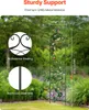 SucceBuy traliccio da giardino per piante rampicanti, 152,4 Anteprima dell’immagine prodotto 2
