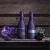 Bjorn Axen Cool Silver Haarspülung 250 ml Produktbild-Vorschau 2