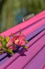 La Siesta - Single-Hängematte Orquidea 21406174001 Produktbild-Vorschau 21