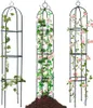 Pergola da giardino per i fiori, rose colonnari "Persian Anteprima dell’immagine prodotto 8