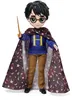 Spin Master WW - Harry Deluxe Set 6064865 Voir les images du produit 3