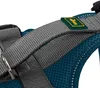 Hunter Geschirr Maldon Up 53-71/M petrol/grau Produktbild-Vorschau 4