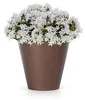 Prosperplast Blumentopf - Kunststoff - Bronze - D25 x 23 cm Produktbild-Vorschau 9