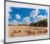 MuchoWow® MuchoWow® Gerahmtes Poster Eine ausgetrocknete Produktbild-Vorschau 1