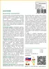 SAFLAX - jacaranda - Jacaranda mimosifolia - 50 Semená - S Náhľad obrázku produktu 3