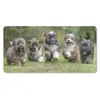MuchoWow® Mauspad Mousepad Welpen - Hunde - Tiere 60x30 cm Produktbild-Vorschau 1