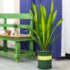Verk 01894 Kruhová podpera rastlín 60 cm Náhľad obrázku produktu 8