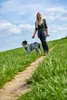 OWNEY proprietaires de chiens sac banane gris XXL - 3XL Voir les images du produit 4