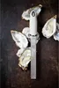 Grattugia ZESTER ACCIAIO INOX grattugia limone formaggio Anteprima dell’immagine prodotto 17