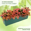MePla - Blumenkasten Balcony Standard 80 cm grün Produktbild-Vorschau 5