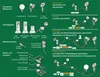 Diagrams illustrating different garden lighting system configurations and components. Produktbild-Vorschau