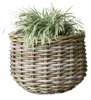 Pflanzkorb BÜSUM Natural Grey ca.40cm Natur-Rattan Korb Produktbild-Vorschau 7