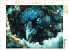 CALVENDO Puzzle Ein Motiv aus dem Kalender "Tierische Produktbild-Vorschau 1