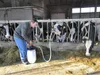 Drencher des vaches Voir les images du produit 5