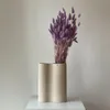 Lagurus Hasenschwanz Samtgras Trockenblumen 60-70cm DIY Produktbild-Vorschau 9
