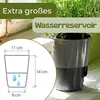 4er Set Kräutertopf Selbstbewässernd Kräutertopf Küche Produktbild-Vorschau 6