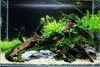 Aquariumrueckwand Selbstklebend Matt 200x50cm Schwarz Produktbild-Vorschau 7